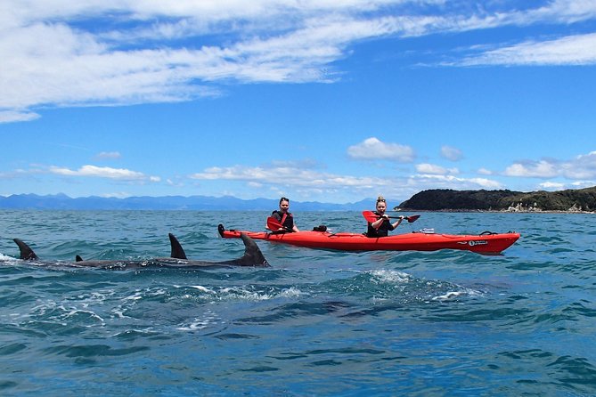 Southern Duo kayak & walk tour - How hard is the kayak and walk?