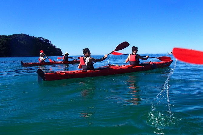 Southern Duo kayak & walk tour - Is $117.91 good value?