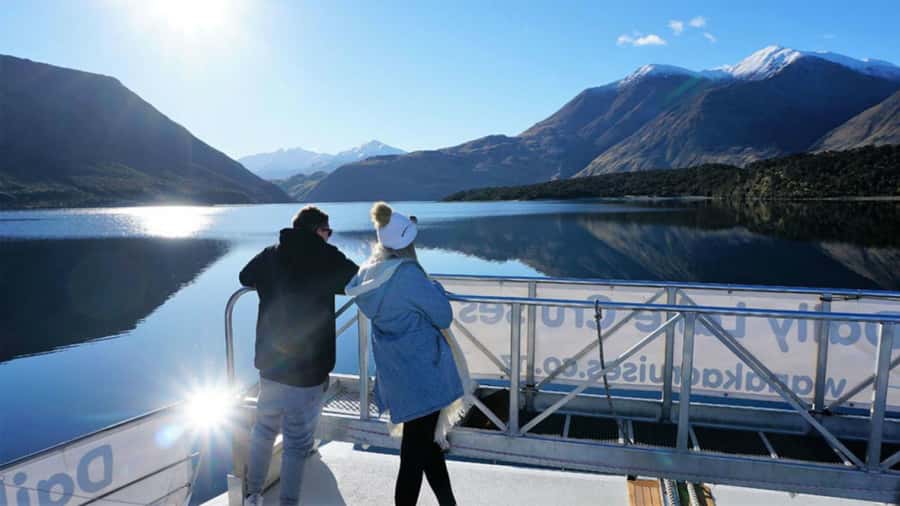 Stevensons Island 2-Hour Cruise and Nature Walk - Key points to know before you go