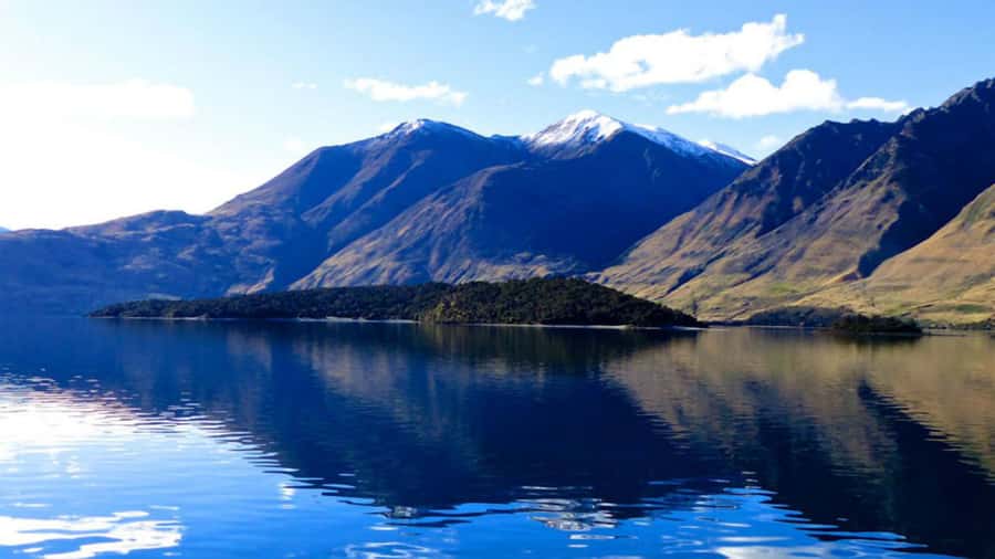 Stevensons Island 2-Hour Cruise and Nature Walk - Who should book this Lake Wanaka cruise?