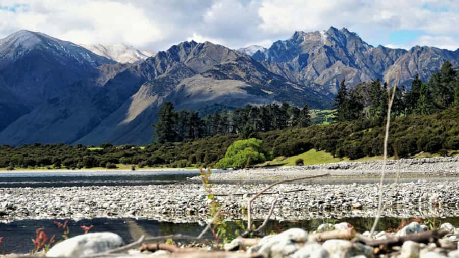 Stevensons Island 2-Hour Cruise and Nature Walk - You do not have to climb the island