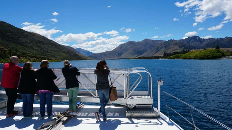 Stevensons Island 2-Hour Cruise and Nature Walk - Is $50 good value for two hours?