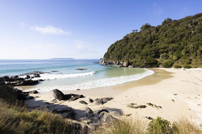 Stewart Island: Guided Wilderness Walk - Why Oneke makes a worthwhile side trip
