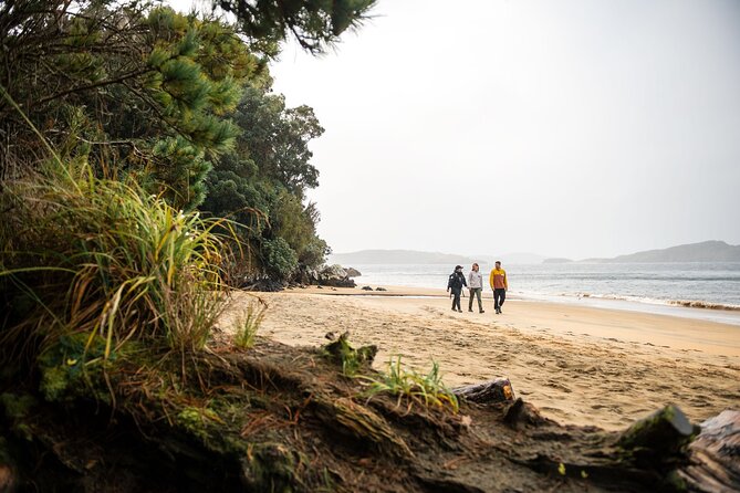 Stewart Island: Guided Wilderness Walk - Māori stories and European connections