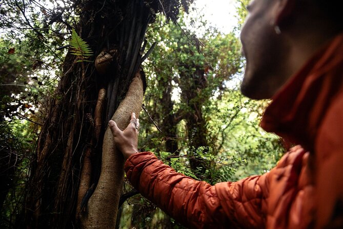 Stewart Island: Guided Wilderness Walk - Weather, clothing, and practical planning