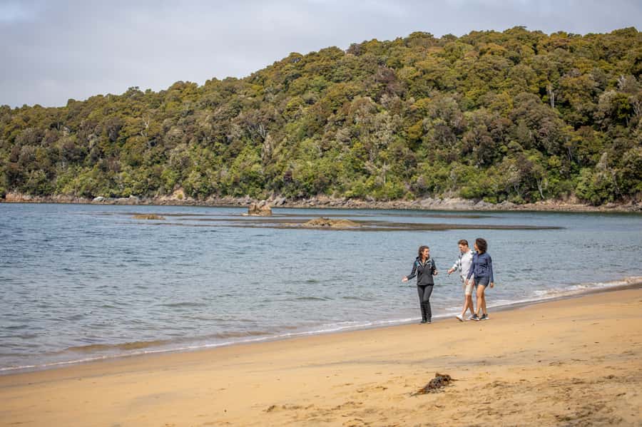 Stewart Island: Ulva Island Guided Wilderness Walk & Cruise - Key points to know before you go