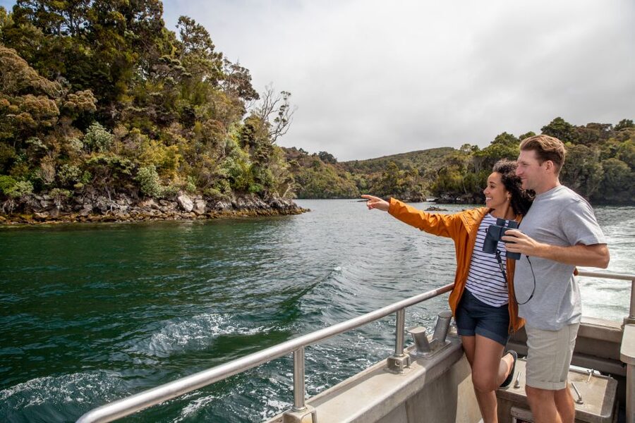 Stewart Island: Ulva Island Guided Wilderness Walk & Cruise - Should you book the Ulva Island guided walk?