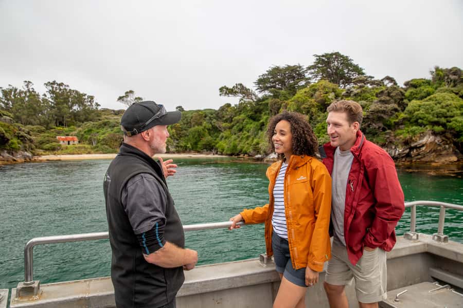 Stewart Island: Ulva Island Guided Wilderness Walk & Cruise - Why Ulva Island is the main event