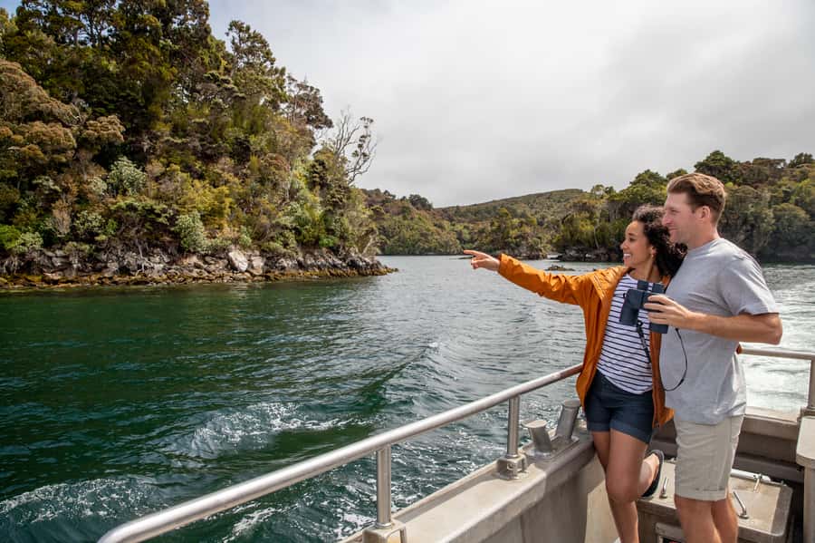 Stewart Island: Ulva Island Guided Wilderness Walk & Cruise - The guided walk: slow, observant, and useful