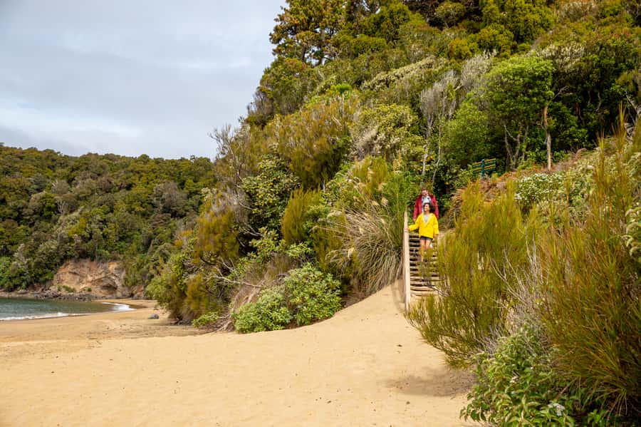 Stewart Island: Ulva Island Guided Wilderness Walk & Cruise - Weather, clothing, and comfort