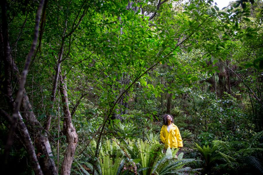 Stewart Island: Ulva Island Guided Wilderness Walk & Cruise - Who will enjoy this Stewart Island outing?