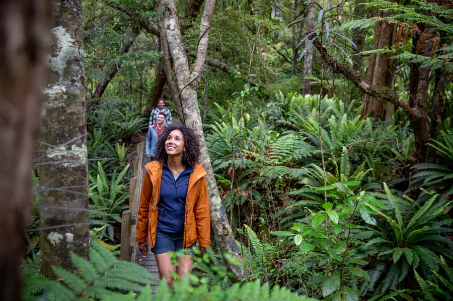 Stewart Island: Ulva Island Guided Wilderness Walk & Cruise - Practical details that can shape your day