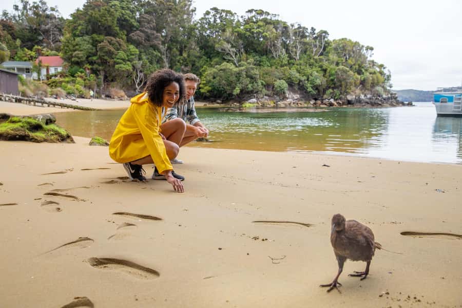 Stewart Island: Ulva Island Guided Wilderness Walk & Cruise - Paterson Inlet by comfortable boat