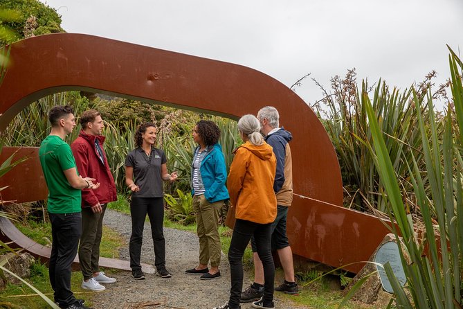 Stewart Island: Village and Bays Tour - Why this short Stewart Island tour works