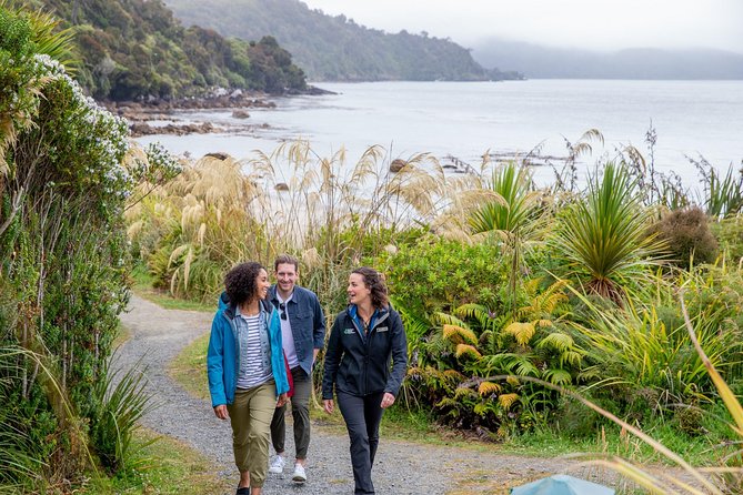 Stewart Island: Village and Bays Tour - Halfmoon Bay and Horseshoe Bay