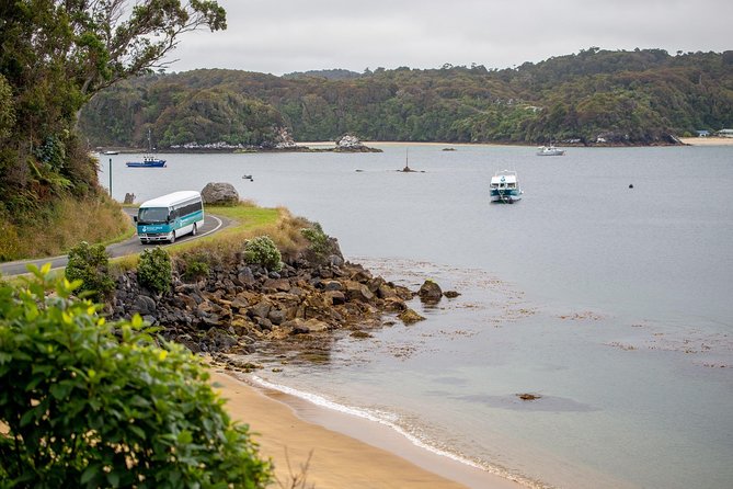 Stewart Island: Village and Bays Tour - Observation Rock and Paterson Inlet views