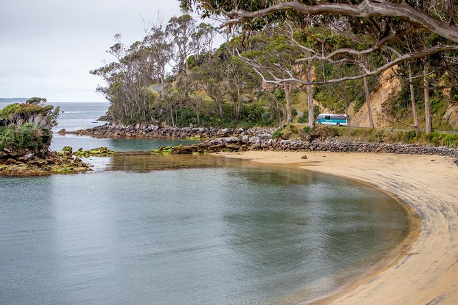 Stewart Island: Village and Bays Tour - Māori legends, wildlife, and present-day island life