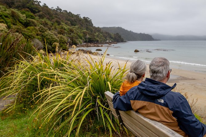 Stewart Island: Village and Bays Tour - The mini bus and the role of the guide
