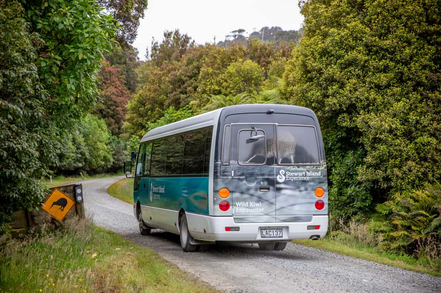 Stewart Island: Village and Bays Tour - Weather, clothing, and practical preparation
