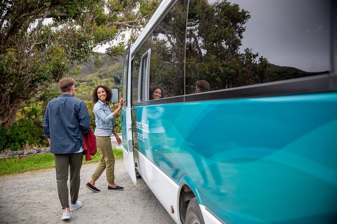 Stewart Island: Village and Bays Tour - Starting at Oban and The Red Shed