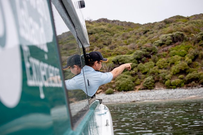 Stewart Island: Wild Kiwi Experiences - Why this Stewart Island kiwi outing feels different
