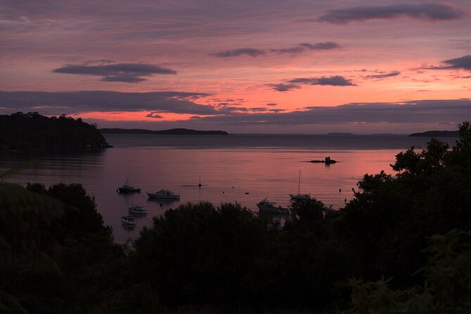 Stewart Island: Wild Kiwi Experiences - Reaching Little Glory Cove or Oneke after sunset