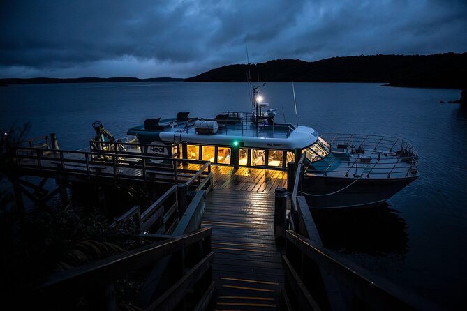 Stewart Island: Wild Kiwi Experiences - Guides, group size, and the human side