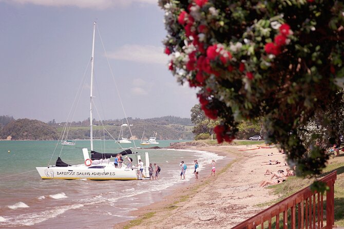 Sundowner Evening Cruise - 2 hour evening sailing cruise with swim stop - A sheltered anchorage and a swim from the boat