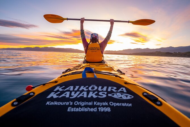 Sunset Evening Kayaking Tour - Kaikoura - Key points to know before you paddle