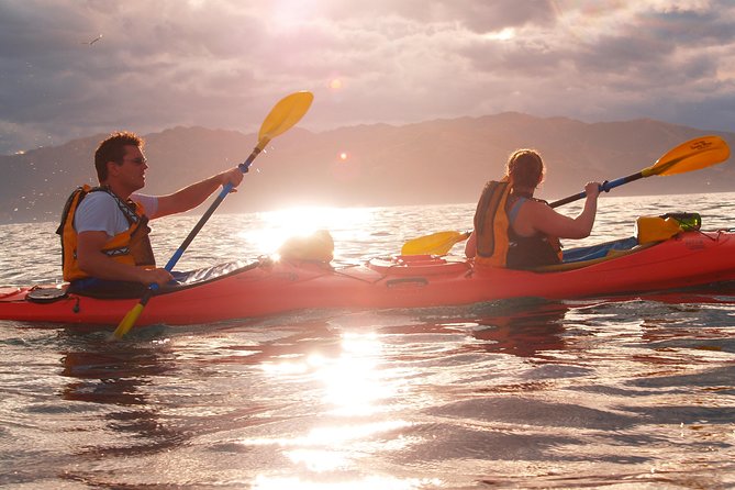 Sunset Evening Kayaking Tour - Kaikoura - The chance of Dusky Dolphins and other wildlife