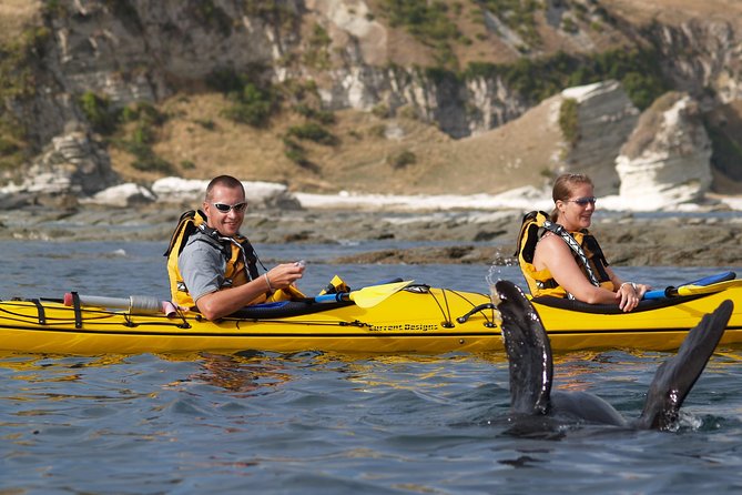 Sunset Evening Kayaking Tour - Kaikoura - What to wear and carry