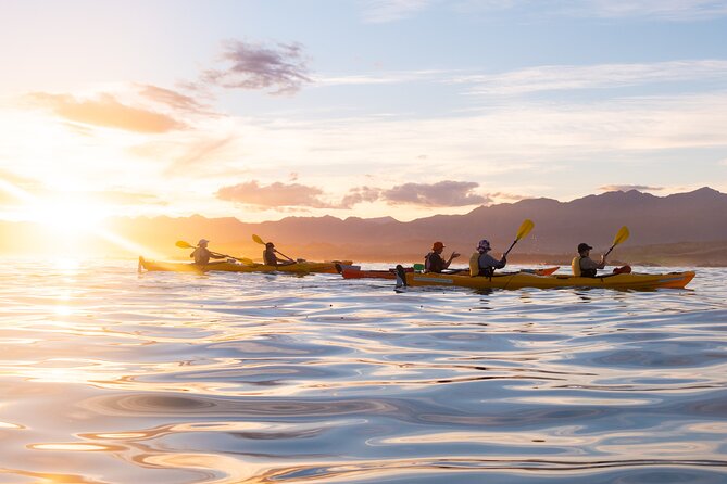 Sunset Evening Kayaking Tour - Kaikoura - Meeting the guides and getting ready