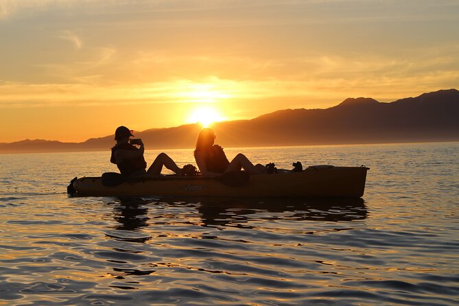 Sunset Kayak tour in Kaikoura - Blue penguins, albatross, and the chance of dolphins