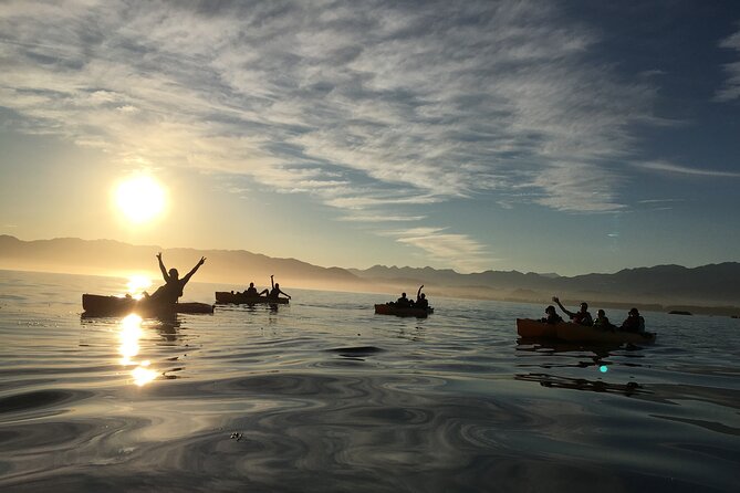 Sunset Kayak tour in Kaikoura - Is the €71.53 price good value?