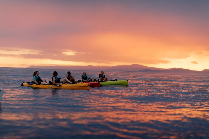 Sunset Kayak tour in Kaikoura - The Hobie Mirage Drive changes the effort