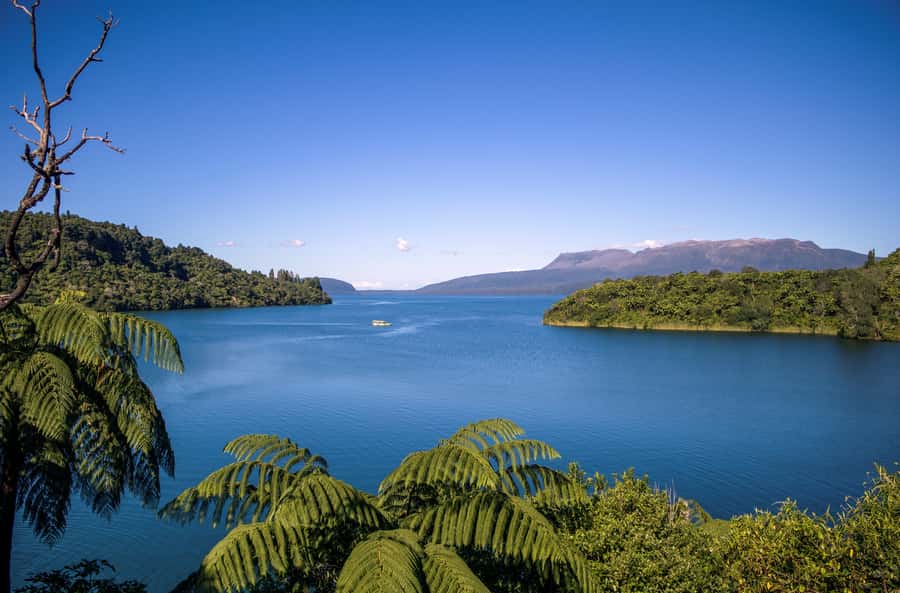 Tarawera and Lakes 2-Hour Duck Eco Tour - The big splash at Lake Tarawera