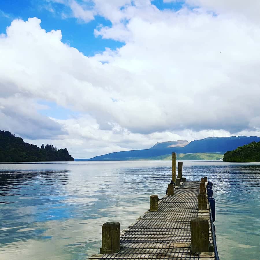 Tarawera and Lakes 2-Hour Duck Eco Tour - What the guides add to the ride