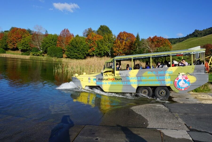 Tarawera and Lakes 2-Hour Duck Eco Tour - Is $65 good value for two hours?