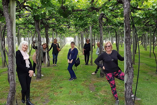 Taste the Valley Wine Tour in Marlborough with Wine Tasting - What the tasting stops feel like
