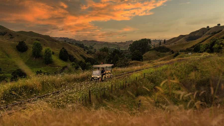 Taumarunui: Forgotten World Rail Cart Tour with Lunch - Key points to know before booking