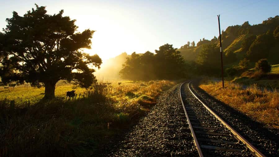 Taumarunui: Forgotten World Rail Cart Tour with Lunch - Why the Forgotten World Railway makes a fine day out