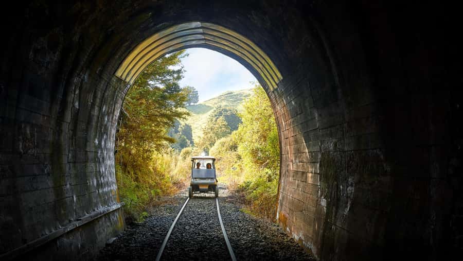 Taumarunui: Forgotten World Rail Cart Tour with Lunch - Ten tunnels and 40 kilometers of railway