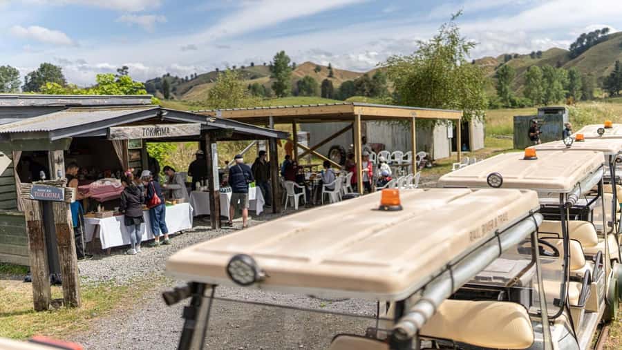 Taumarunui: Forgotten World Rail Cart Tour with Lunch - Checking in at Taumarunui and reaching Okahukura