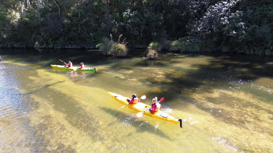 Taupō: Hidden Lake Kayak Tour with Sunken Forest Views - Why the sunken forest is the star of the trip