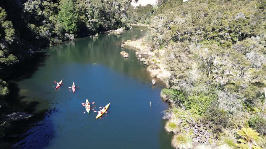 Taupō: Hidden Lake Kayak Tour with Sunken Forest Views - What the van transfer adds to the day