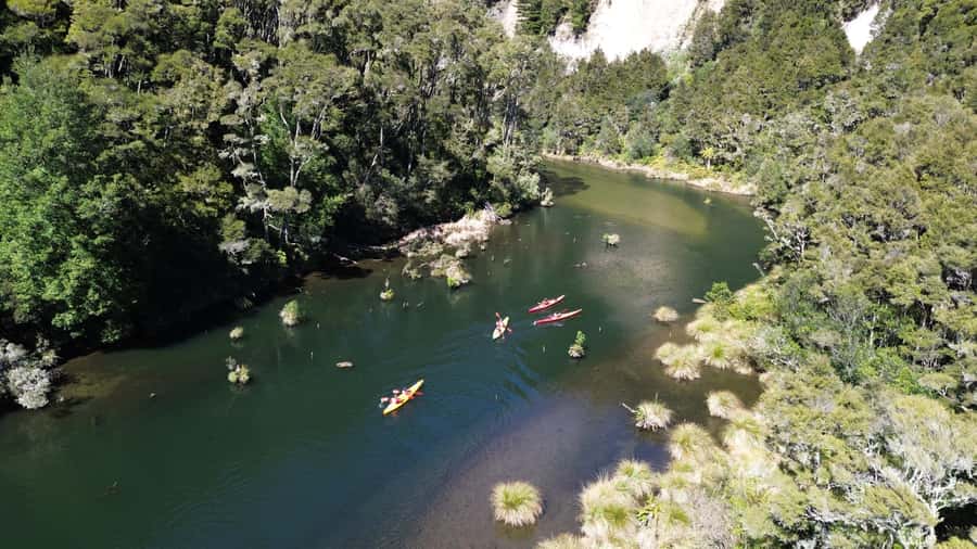 Taupō: Hidden Lake Kayak Tour with Sunken Forest Views - Kayaking through the hidden waterways