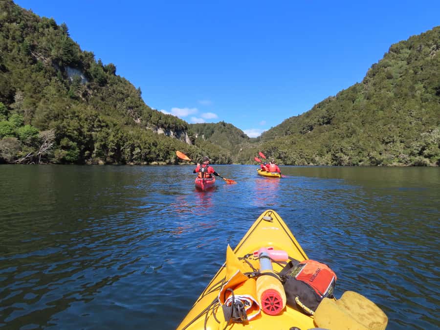 Taupō: Hidden Lake Kayak Tour with Sunken Forest Views - The hidden canyon brings a change of mood