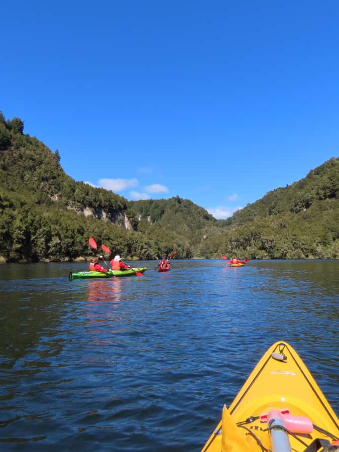 Taupō: Hidden Lake Kayak Tour with Sunken Forest Views - What is included for the $98 price