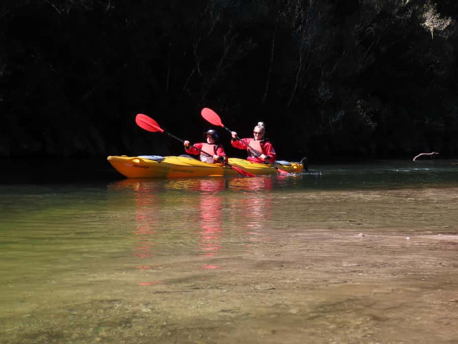 Taupō: Hidden Lake Kayak Tour with Sunken Forest Views - What to bring and what to leave behind