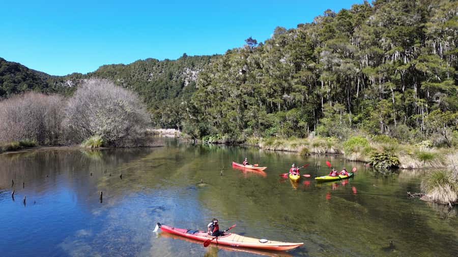 Taupō: Hidden Lake Kayak Tour with Sunken Forest Views - A four-hour plan that gives you time to look around